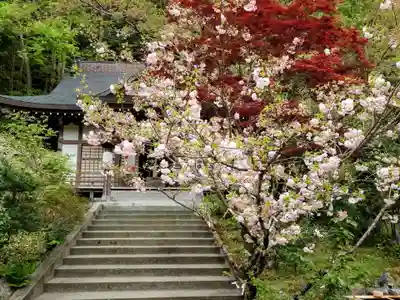 金毘羅神社(山梨県)