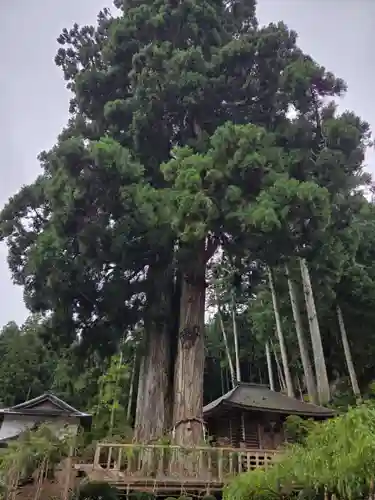 金剛三昧院(和歌山県)