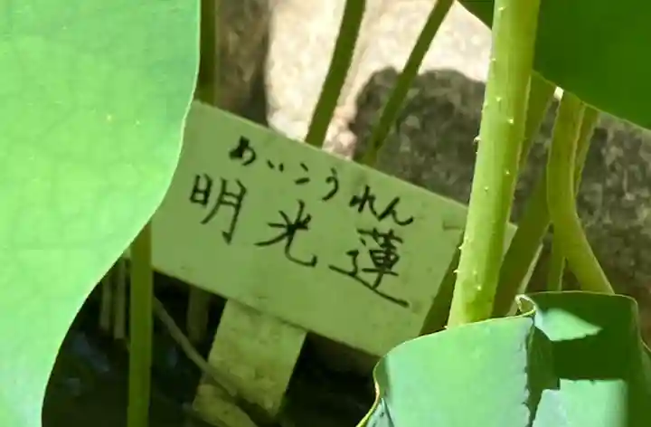 生田神社(兵庫県)