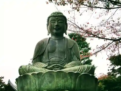 護国寺(東京都)