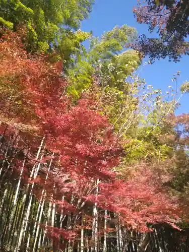 建長寺 半僧坊(神奈川県)