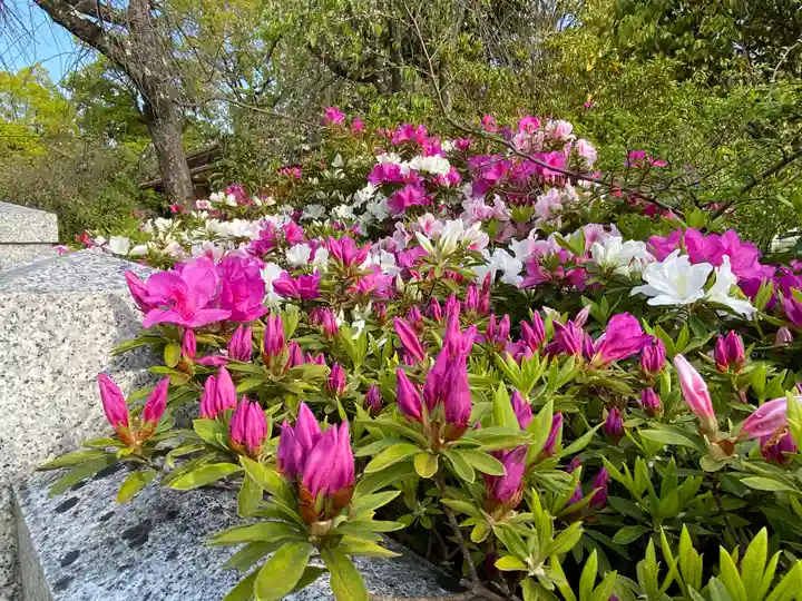 和泉國一之宮 大鳥大社の庭園