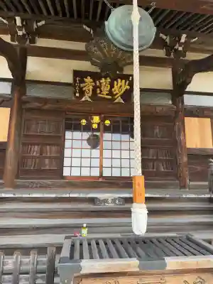 妙蓮寺の{uncategorized: "未分類", other: "その他", undefined: "問題あり", building: "その他建物", grave: "お墓", sacred_gate: "鳥居", guardian: "狛犬", statue: "像", buddha: "仏像", history: "歴史", nature: "自然", garden: "庭園", animal: "動物", pagoda: "塔", temizu: "手水舎", mountain_gate: "山門・神門", sanctuary: "本殿・本堂", subordinate: "末社・摂社", art: "芸術", scenery: "景色", jizo: "地蔵", ema: "絵馬", goshuin: "御朱印", omikuji: "おみくじ", items: "授与品その他", amulet: "お守り", goshuincho: "御朱印帳", eats: "食事", festival: "お祭り", votive_dance: "神楽", shichigosan: "七五三参", wedding: "結婚式", experience: "体験その他", initially: "初詣", around: "周辺", anti_infection: "感染症対策"}