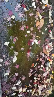 甲斐善光寺(山梨県)