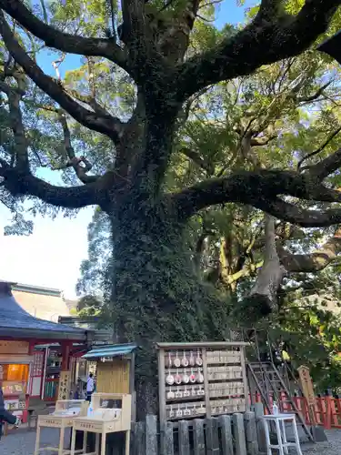 熊野那智大社(和歌山県)