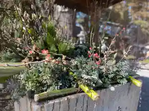 國魂神社の手水舎(2021年02月16日(火) 12時11分44秒投稿)