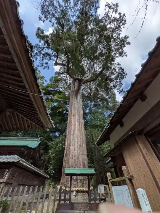 事任八幡宮(静岡県)