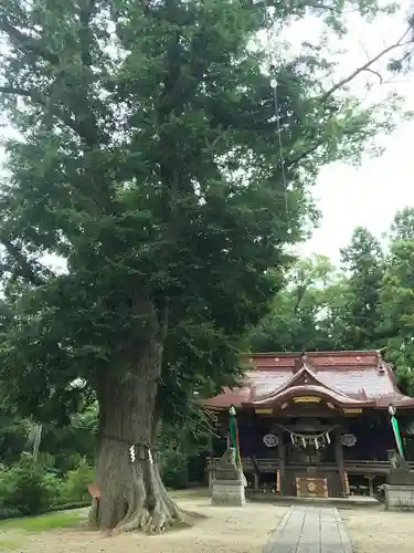 素鵞神社の本殿・本堂