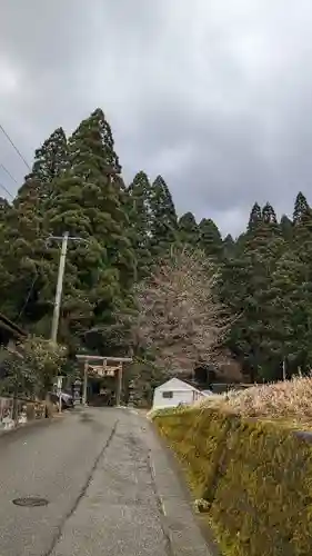 荒立神社(宮崎県)