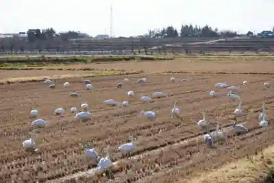 大鏑神社の周辺