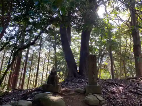 白山神社の自然