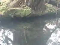 一本杉神社(島根県)