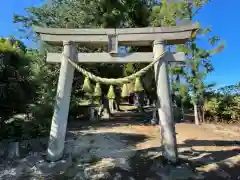 温泉神社の鳥居