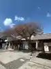 白老八幡神社の{uncategorized: "未分類", other: "その他", undefined: "問題あり", building: "その他建物", grave: "お墓", sacred_gate: "鳥居", guardian: "狛犬", statue: "像", buddha: "仏像", history: "歴史", nature: "自然", garden: "庭園", animal: "動物", pagoda: "塔", temizu: "手水舎", mountain_gate: "山門・神門", sanctuary: "本殿・本堂", subordinate: "末社・摂社", art: "芸術", scenery: "景色", jizo: "地蔵", ema: "絵馬", goshuin: "御朱印", omikuji: "おみくじ", items: "授与品その他", amulet: "お守り", goshuincho: "御朱印帳", eats: "食事", festival: "お祭り", votive_dance: "神楽", shichigosan: "七五三参", wedding: "結婚式", experience: "体験その他", initially: "初詣", around: "周辺", anti_infection: "感染症対策"}