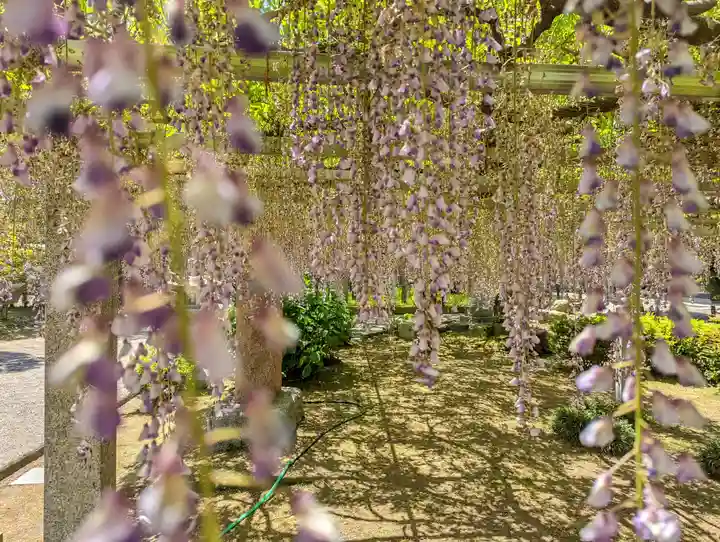 三大神社(滋賀県)