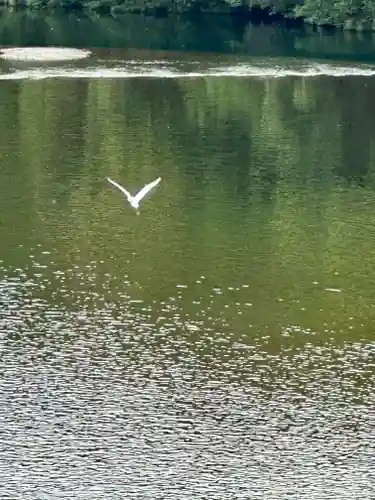 伊勢神宮内宮（皇大神宮）(三重県)