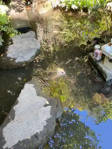 大綱金刀比羅神社(神奈川県)