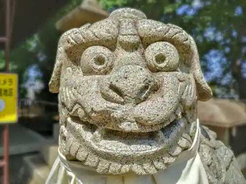 多奈波太神社（金城）の狛犬