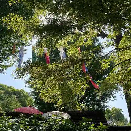 上野東照宮(東京都)