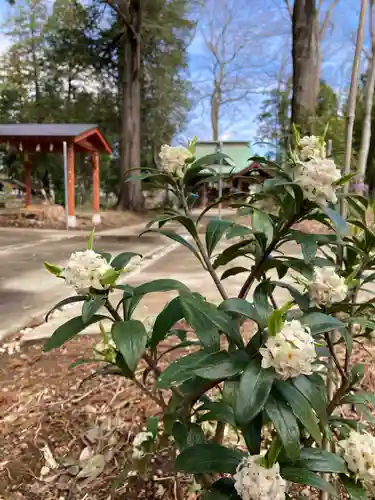 息栖神社の景色