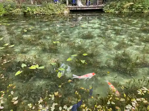 根道神社(岐阜県)
