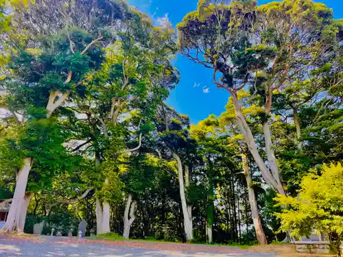 佐波波地祇神社の自然
