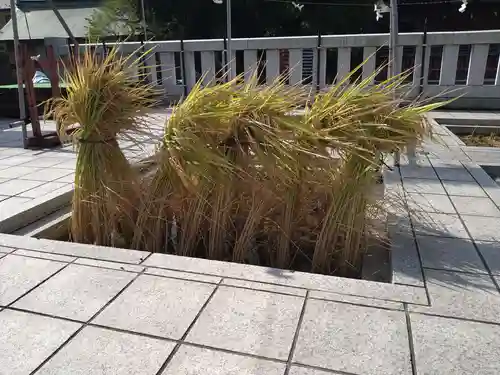 東京羽田 穴守稲荷神社(東京都)