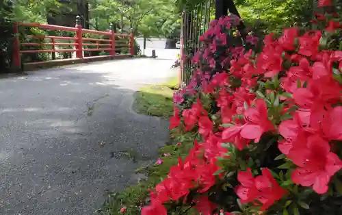 呑山観音寺のその他建物