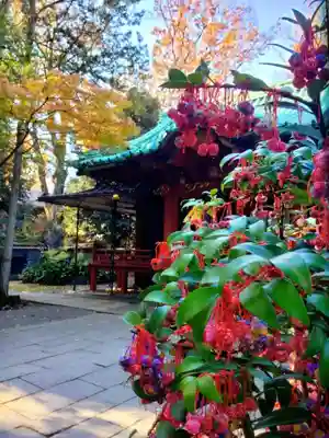 赤坂氷川神社(東京都)