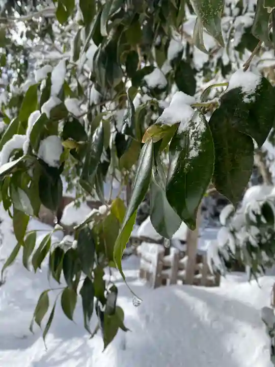 磐椅神社(福島県)