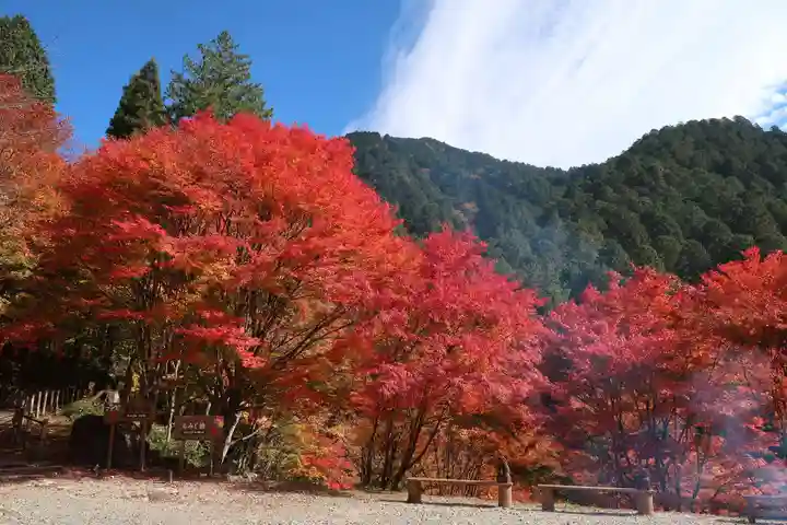 竜神神社(岐阜県)