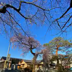 尾曳稲荷神社の建物その他