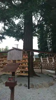 秋保神社の絵馬