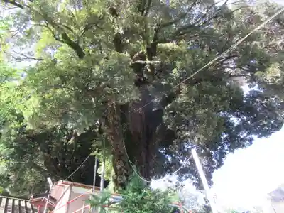 光明寺(東京都)