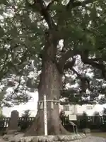 金鑚神社の庭園