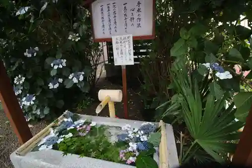 猿田彦神社(東京都)