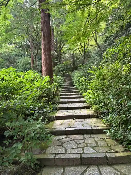 瑞泉寺(神奈川県)
