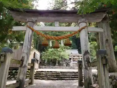 白川八幡神社の鳥居