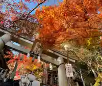 阿賀神社の鳥居
