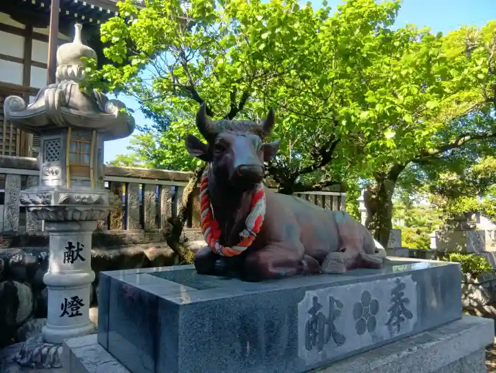 天神神社(柳津天神神社)の{uncategorized: "未分類", other: "その他", undefined: "問題あり", building: "その他建物", grave: "お墓", sacred_gate: "鳥居", guardian: "狛犬", statue: "像", buddha: "仏像", history: "歴史", nature: "自然", garden: "庭園", animal: "動物", pagoda: "塔", temizu: "手水舎", mountain_gate: "山門・神門", sanctuary: "本殿・本堂", subordinate: "末社・摂社", art: "芸術", scenery: "景色", jizo: "地蔵", ema: "絵馬", goshuin: "御朱印", omikuji: "おみくじ", items: "授与品その他", amulet: "お守り", goshuincho: "御朱印帳", eats: "食事", festival: "お祭り", votive_dance: "神楽", shichigosan: "七五三参", wedding: "結婚式", experience: "体験その他", initially: "初詣", around: "周辺", anti_infection: "感染症対策"}