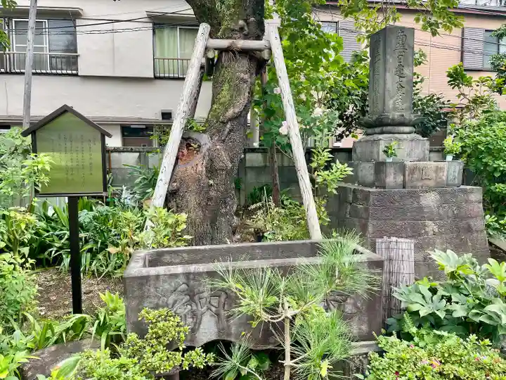 谷中 妙福寺(東京都)