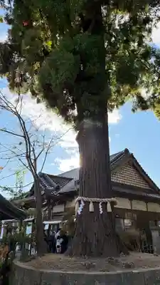 國魂神社(福島県)