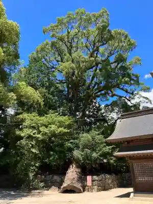 與止日女神社(佐賀県)