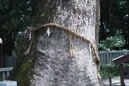 伊弉諾神宮(兵庫県)