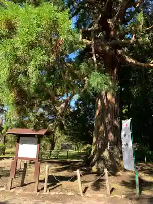 糠部神社の自然
