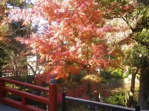 鶴岡八幡宮の自然