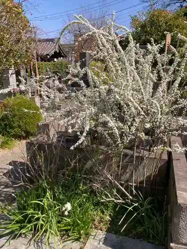 光照寺(神奈川県)