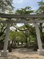 天鷹神社(岐阜県)