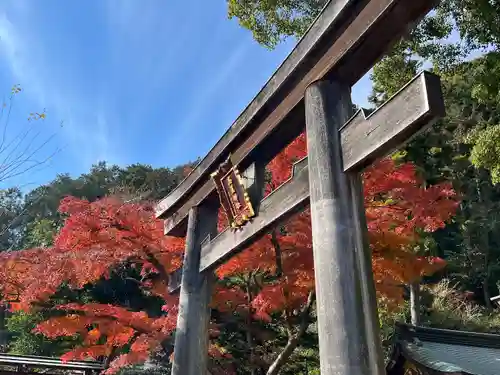 高麗神社(埼玉県)