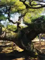 善養寺の庭園